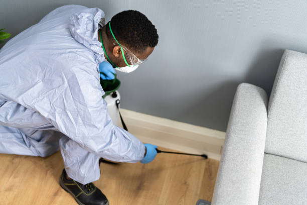 Best Residential Pest Control  in Ferrysburg, MI